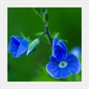 규환목장 이미지