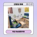 옥길헤리움타운 | 부천 옥길피부관리 따숨힐링카페 풀코스 후기