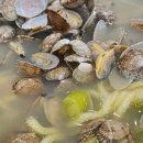 이배재로 이미지