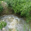 대주 농장 이미지