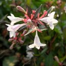 꽃소아청소년과의원 이미지