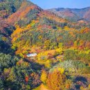 성동카랜드 이미지