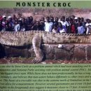 공룡모텔 이미지