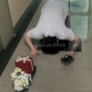 메이플라워대치