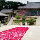 사단법인 해인아트프로젝트 이미지
