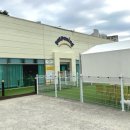 펫프닝 타운 이미지