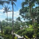 아이호텔 | 싱가포르 센토사 샹그릴라 호텔 후기｜아이동반 가족여행 최적의 숙소