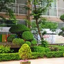 부라보어린이집 이미지