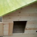 멍멍이집 이미지