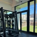 센티프짐 이미지