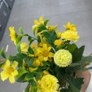 하늘채 한옥 민박 이미지