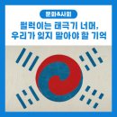 (주)신한사료 | [문화] 펄럭이는 태극기 너머, 우리가 잊지 말아야 할 기억