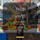 월성마을회관 (제주국제공항6(노형,연동)방면) | 제주도 제주여행 제주공항근처 아기랑 실내 가볼만한곳 하리보 해피월드 인 제주 전시 체험 할로윈행사
