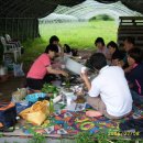 푸른솔농장2 이미지