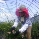 남해비엔비 이미지