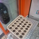 킹짱오락실 이미지