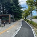 삼성대로 이미지