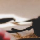 부평드림안과의원 이미지