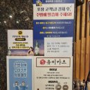 춘천-강남하이엔드 | 부담없이 즐기기 좋은 일본 분위기 [유미카츠 춘천점]내돈내산