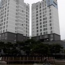 도룡길 5번길 11 네이버블로그