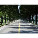 곡성농협주유소 이미지