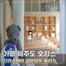 신라스테이제주 | [가을 제주도 호캉스 할인] 신라스테이 이호테우 제주 호텔 조식 포함 예약 후기