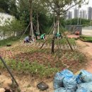 고덕면행정복지센터 이미지