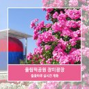 서울교통공사(9호선 한성백제역) | 올림픽공원 장미광장 5월 실시간 개화 축제 들꽃마루 위치 가는법