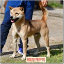 까치농장 이미지