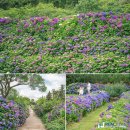 동광리-7 이미지