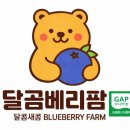 갱이농장 네이버블로그