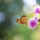 (주)사랑으로 이미지