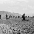 군북면 면사무소 이미지