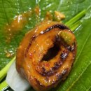 이지비야 이미지