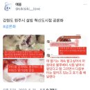 본사 메뉴얼 어기고 손님한테 책임전가 한 설빙 지점.twt 이미지