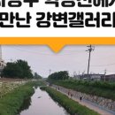 학장천 강변갤러리 이미지