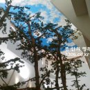 뜰안의행복 이미지