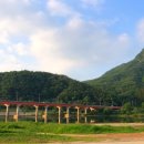 춘천상가전문공인중개사사무소 이미지