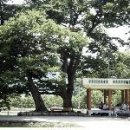 조양마을경로당 이미지