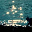 그녀의 바다 이미지