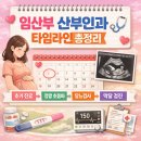 임신 주수별 산부인과 검진 총정리｜초기부터 중기까지 타임라인 정리