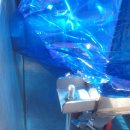 디오클린 이미지