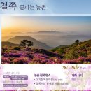 대기철쭉꽃마을 이미지