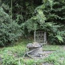 보니소네트 | 대구근교 애견동반 가능 펜션 “보니소네트”