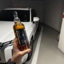 더디젤 | 불스원샷 DPF 클리너 사용 후기(2023 더뉴팰리세이드 2.2D 디젤)
