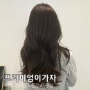 웰니스 애견 미용실 스타필드 수원점 | 파주 운정 미용실 프리미엄이가자 스타필드운정 리유 디자이너 프로틴 필업 케어 클리닉 후기