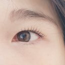 만덕자연 | 만덕 속눈썹펌 후기~ “뷰러 안 해도 되는 자연 컬 유지력 최고!” (by. 오늘도 눈부시다)