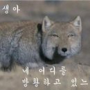 달콤한아재 이미지