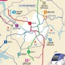 하남-신장-신장5호 이미지