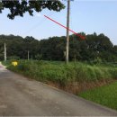 동막동(1) 이미지